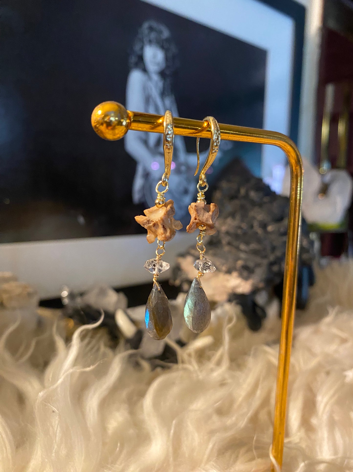 Snake vertebrae & labbie/herkimer