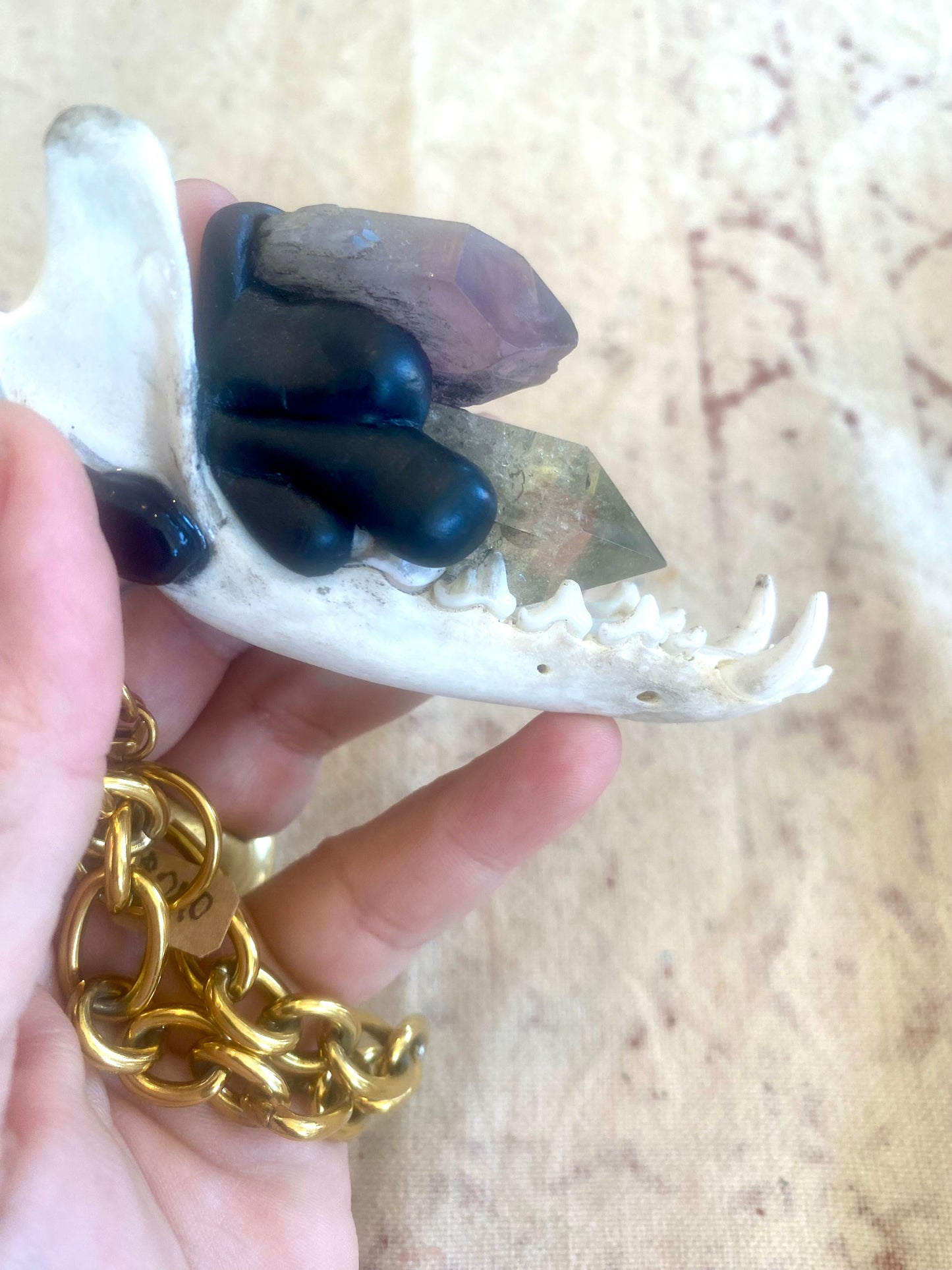 🚚💨Super 7 Coyote Necklace