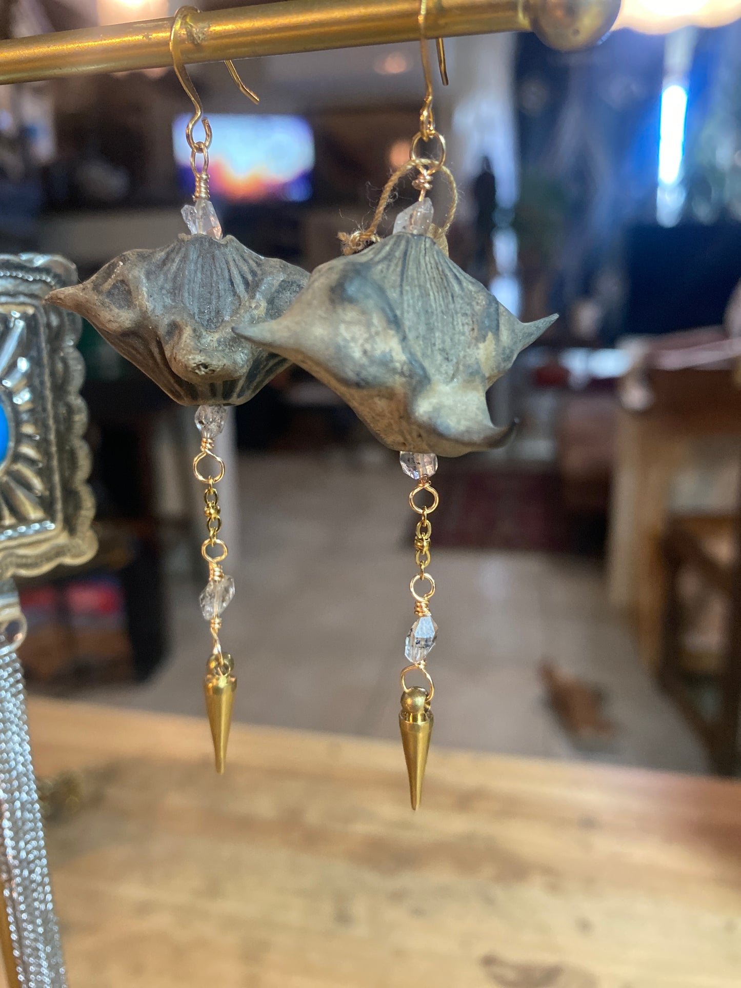 🚚💨Devils pod earrings